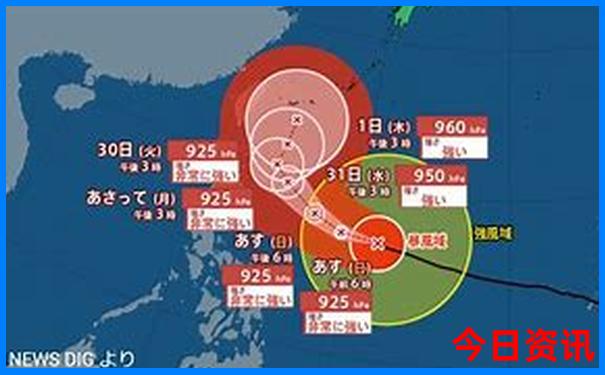 最新2025官方入口年领取天天汇总免费正版资料全新发布-王中王493333特马王中王